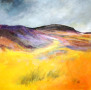 Hodgson Moorland path