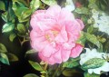 Philip Summer bloom*