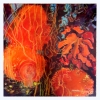 Blanche1web