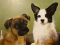 Claudecute-doggiesweb