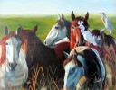David Dawson Wild horses