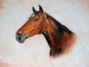 Fiona Southwell Bertie