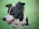 Fiona Southwell Merlin
