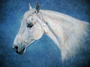 Fiona Southwell4