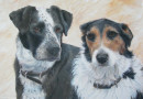 Fennell Louie and Badger