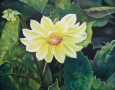 Philip Lemon delight
