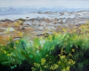 Keith Robinson1.  Arran Shore with Wild Radish Flowers