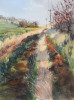LateAutumngrasses
