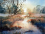 Pam Williams