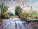 Winter-walk-Wassand