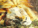 Phil Hargreaves Sleeping lion
