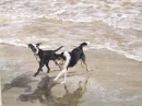 Fennell Beach games
