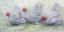 Fennell The Lavender Ladies